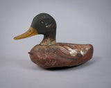 Early 20th Century Carved Painted Decoy Mallard Duck - Harrington Antiques