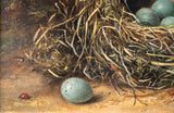 Fanny Wycliffe Goodwin (fl.1840-1850) - Bird's Nest & Primrose. Oil On Board. - Harrington Antiques