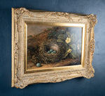 Fanny Wycliffe Goodwin (fl.1840-1850) - Bird's Nest & Primrose. Oil On Board. - Harrington Antiques