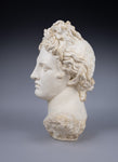 Large Plaster Bust Of Apollo Belvedere - Harrington Antiques