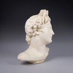 Large Plaster Bust Of Apollo Belvedere - Harrington Antiques
