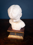 Plaster Bust Of Infant On Giltwood Plinth - Harrington Antiques