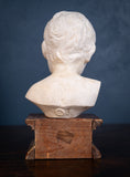 Plaster Bust Of Infant On Giltwood Plinth - Harrington Antiques