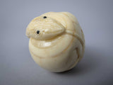 Vintage Finely Carved Signed Bone Memento Mori Netsuke Of Skull & Snake. - Harrington Antiques